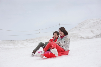 雪の滑り台Snow Slide