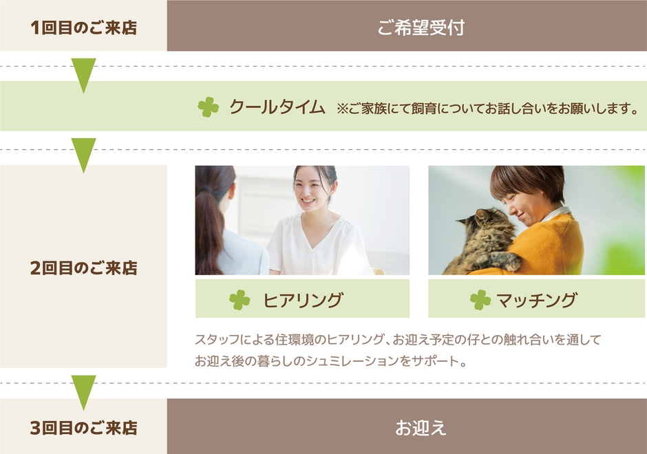 「CLOVER STEP」ご希望からお迎えまでの流れ