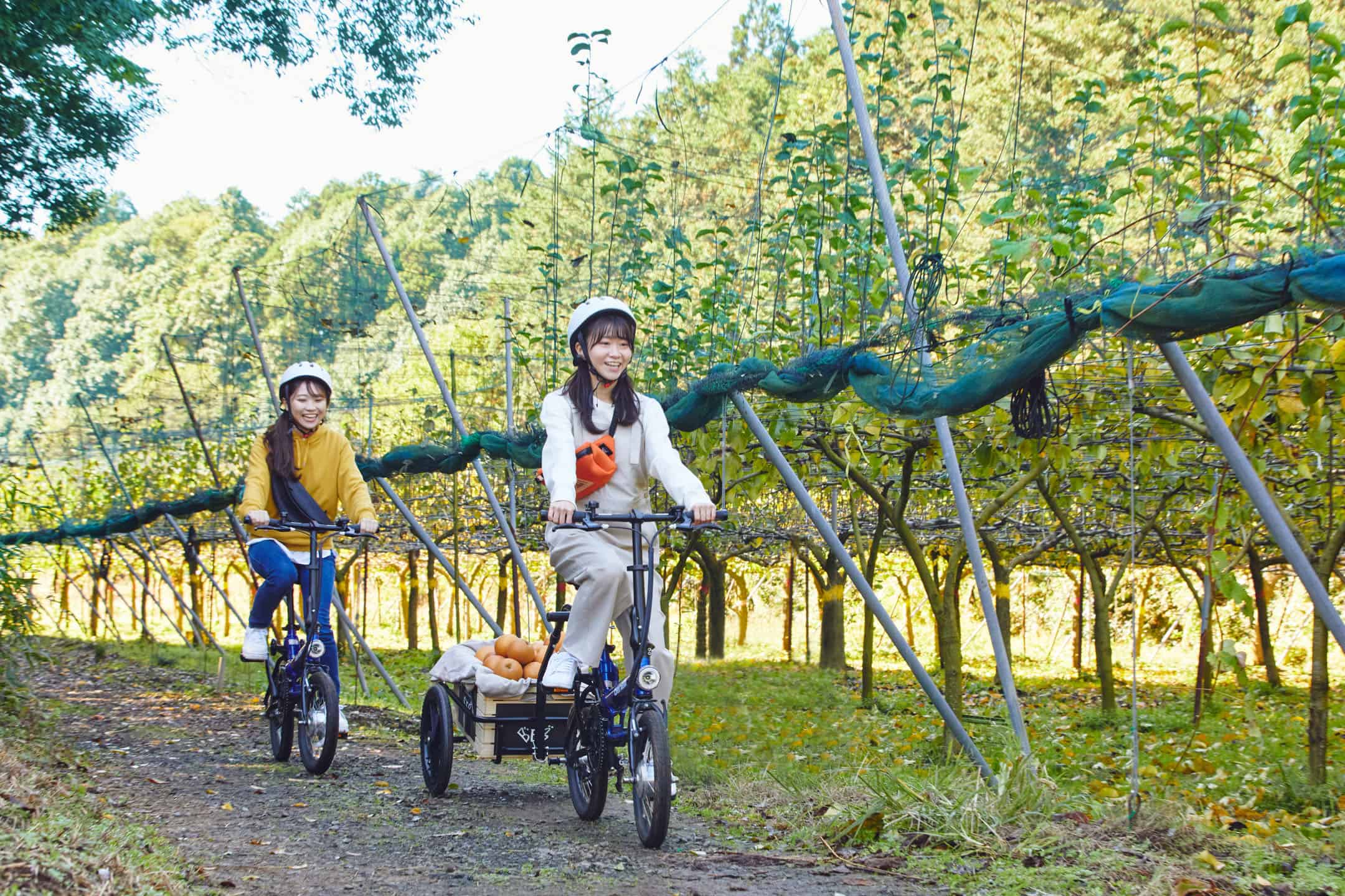 【BEB5土浦】秋が旬の梨狩り＆手作りパフェ体験ができる「梨狩りサイクリング」開催｜期間：2022年9月1日～30日