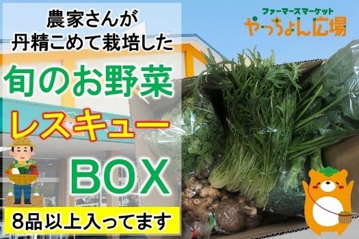 やっちょん広場　旬のお野菜レスキューＢＯＸ
