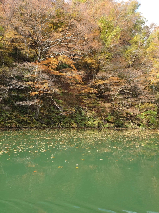 紅葉が映える秋の只見川