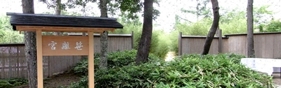 6千坪の数寄屋庭園と、120種以上のコレクションを誇る 笹植物園【笹離宮】を無料開放