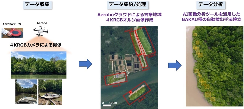 APT「国際共同研究プログラム2021」の成果