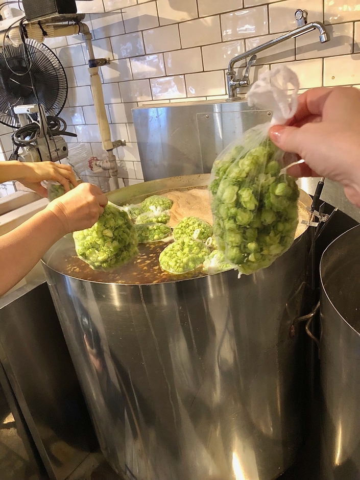 麦を煮込んだ茶色の液体に、いざ生ホップを投入!