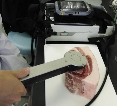 豚肉の食味に対する科学的評価法に関する研究