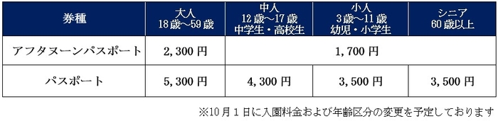 アフタヌーンパスポート