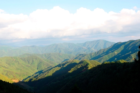 青山商事として全国初となる「森林保全に関する連携協定」を締結　高知県梼原町とmore treesとの 三者間連携協定式 および 植樹イベントを12月2日に開催