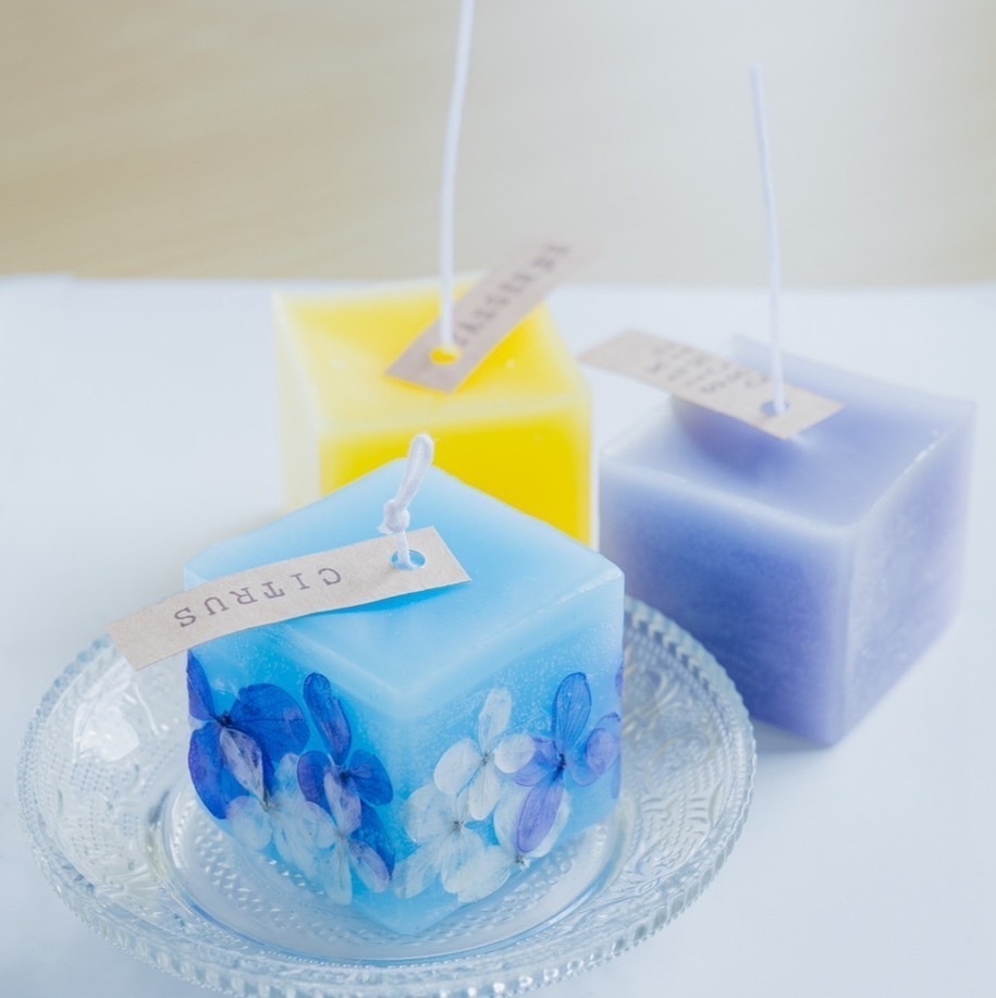 佐田岬半島 自然の恵みを満喫旅 1