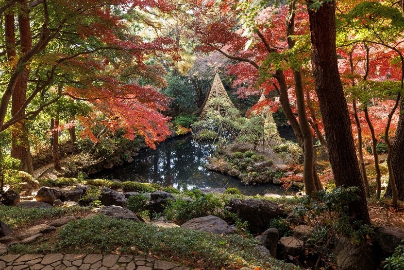 殿ヶ谷戸庭園　秋の催し2026
2026年11月中旬～12月上旬　開催