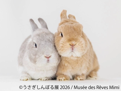 10周年“うさぎの祭典”が開幕！200点超の作品＆限定グッズが集結 「うさぎしんぼる展 2026」9/18(金)から東京で開催