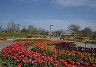 馬見丘陵公園(イメージ)