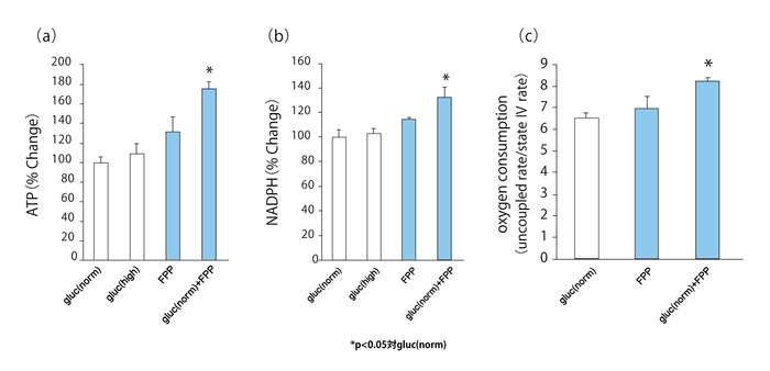 図3. FPPによる単球の変化：(a)細胞内エネルギー(ATP)産生の向上 (b)NADPHオキシダーゼの活性化 (c)ミトコンドリアの活性化