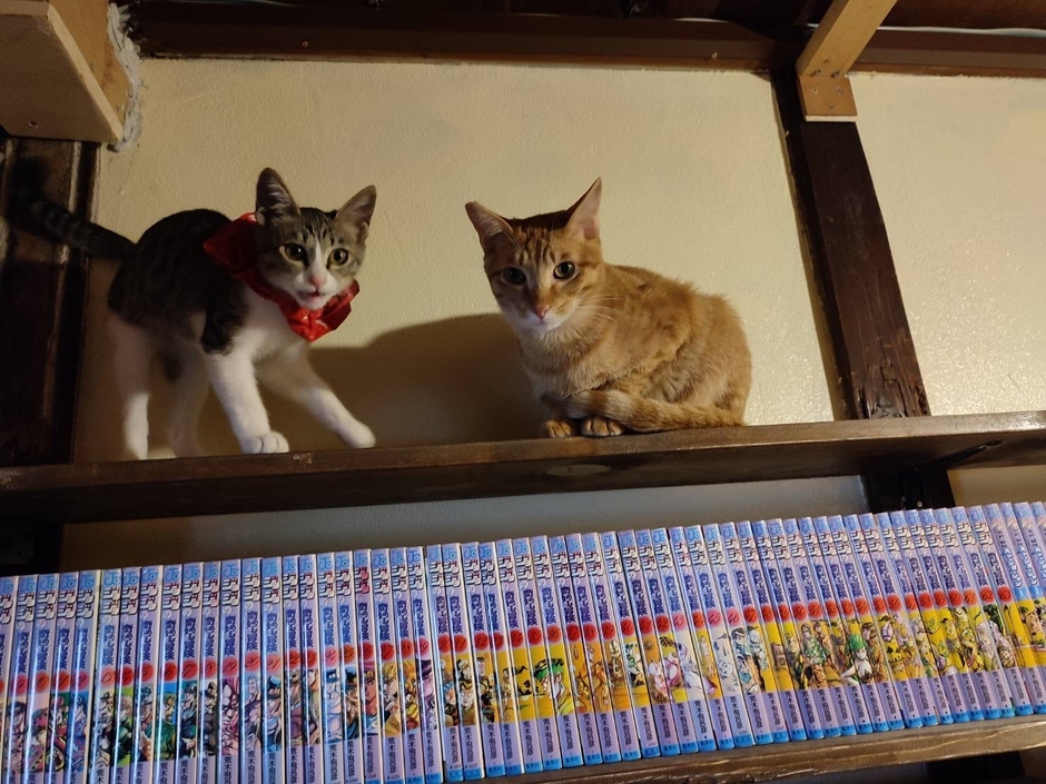 漫画1,200冊以上