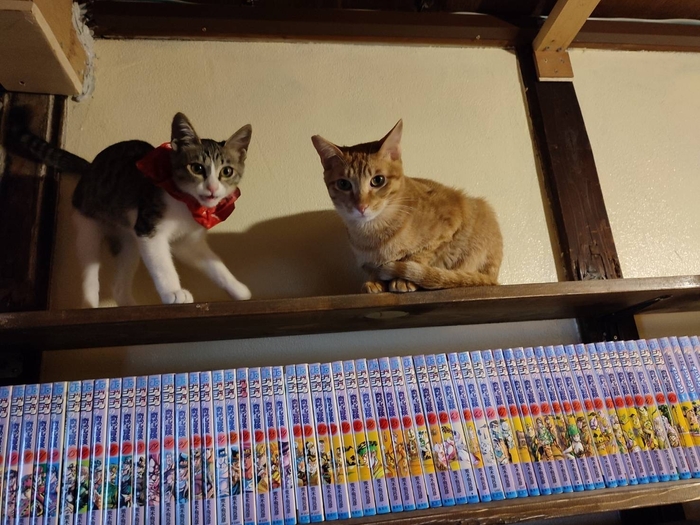 漫画1,200冊以上