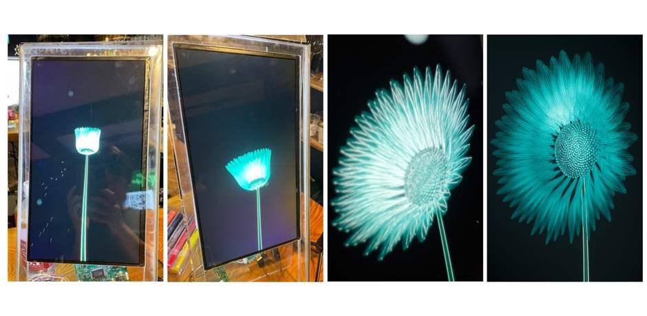 実証実験中の「Log Flower」の様子<3~4週目> 発話量の多さに応じてボリューム感のある唯一無二の花へと成長。 ※「CryptoBar P2P」公式Twitterおよび店内撮影の許可を得て掲載しています。