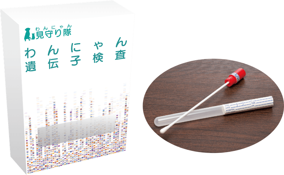 遺伝子検査キット