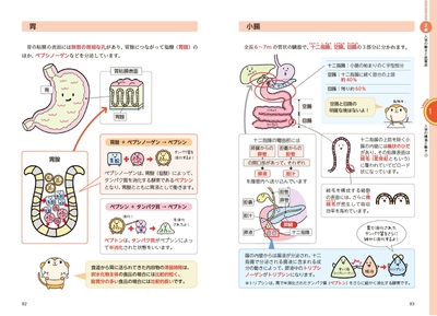 イメージで攻略 わかる!受かる!!登録販売者 テキスト&問題集 サンプル画像02