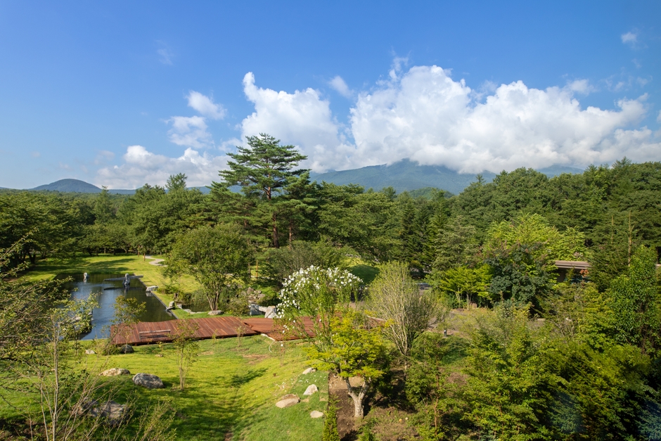 周囲の自然との調和と景観美を意識した自然に還る継続可能な庭づくり