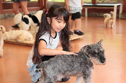 富士すばるランド ふれあいハウス