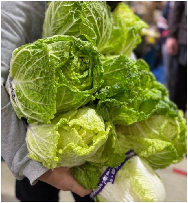 「抱え込み放題・白菜」