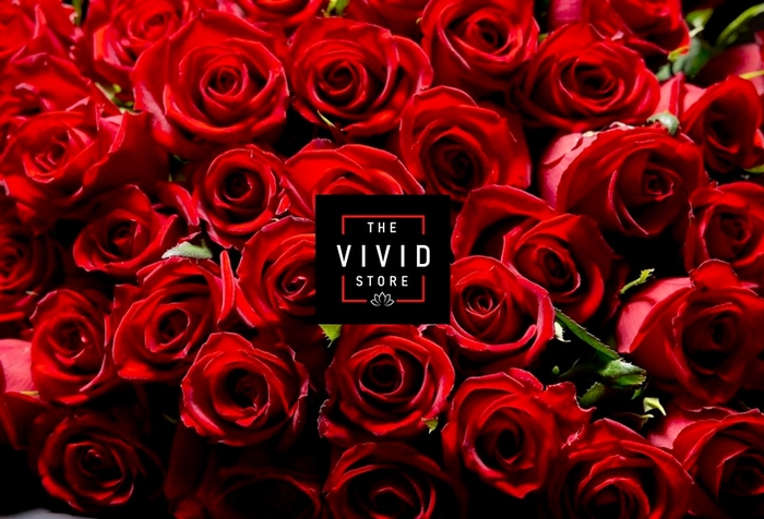 VIVID  /  THE STORE