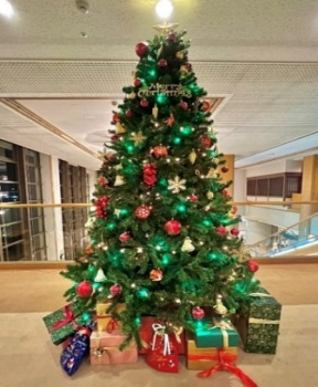 クリスマスツリー