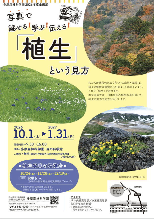 チラシ