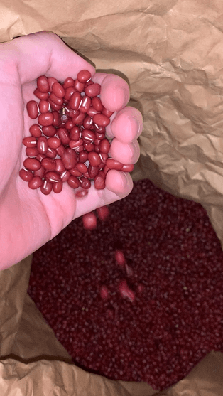 名古屋金鯱　小豆