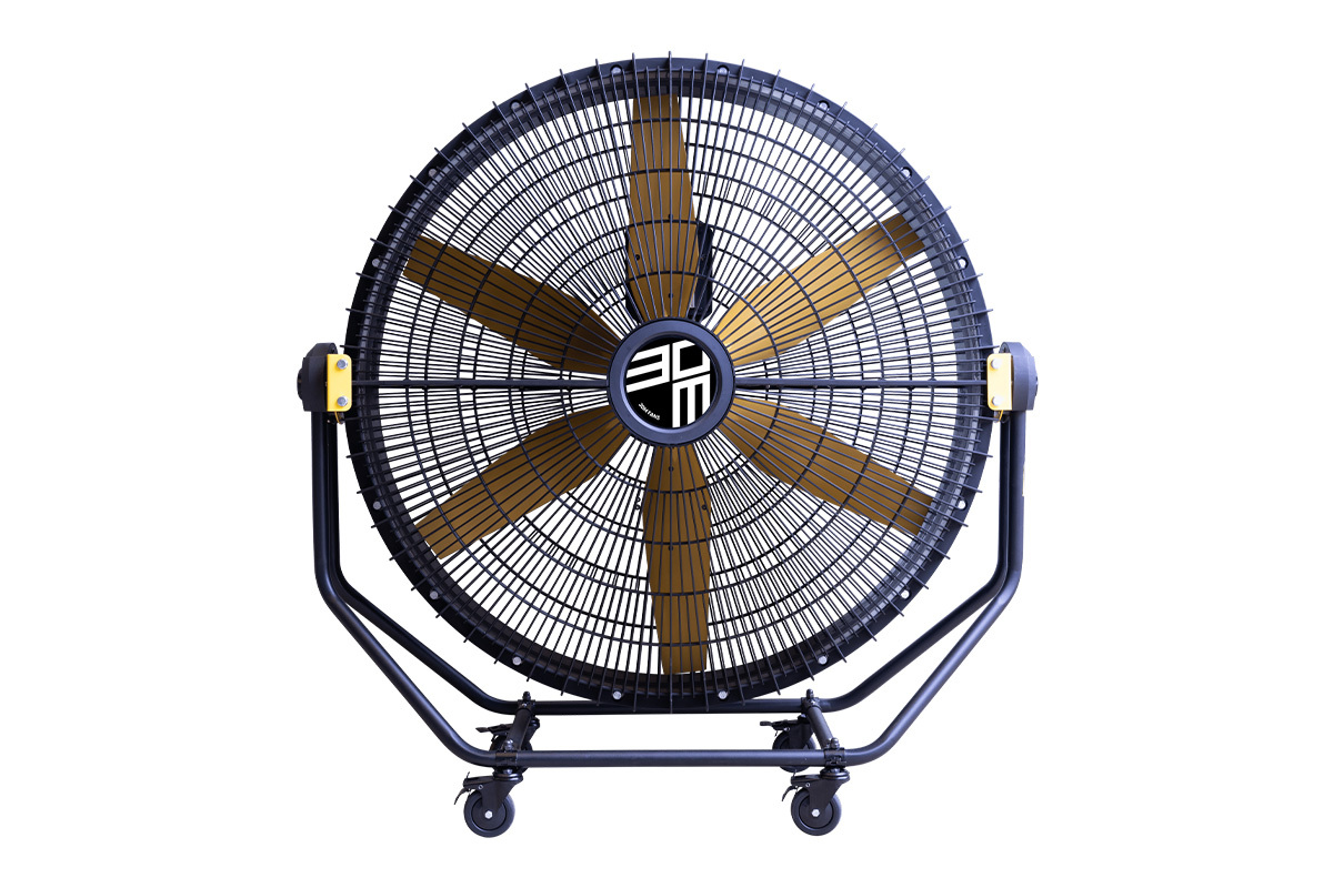 30M FANS MOVE