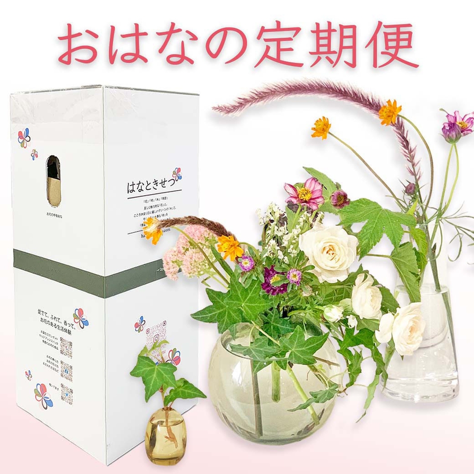 おはなの定期便(2)