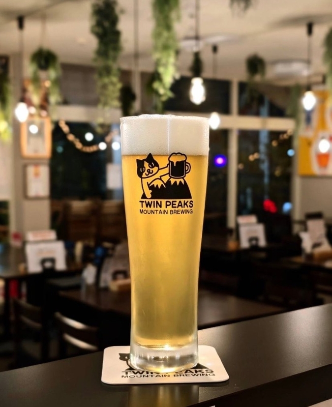Twin Peaks Mountain Brewing