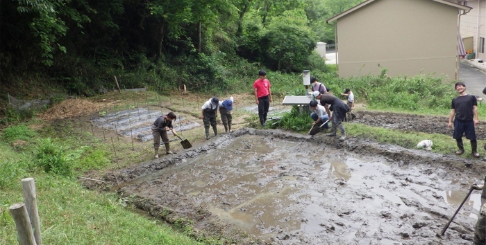 近大里山ビオトープ