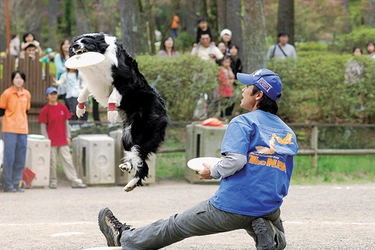 富士スバルランド　ドギーパーク　 2010年4月29日（祝）〜5月5日（祝）春の祭典「つつじ祭り」開催！ 〜5/1～5は山梨県初上陸の体感アトラクション「ジャンプゾーン」開催！〜 