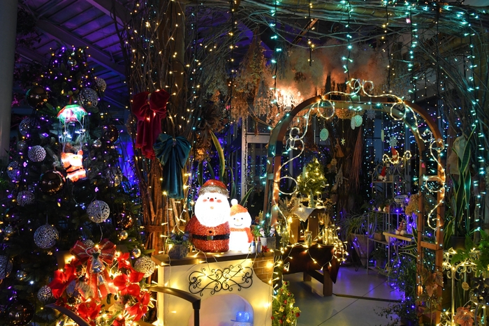 イルミネーションの様子4