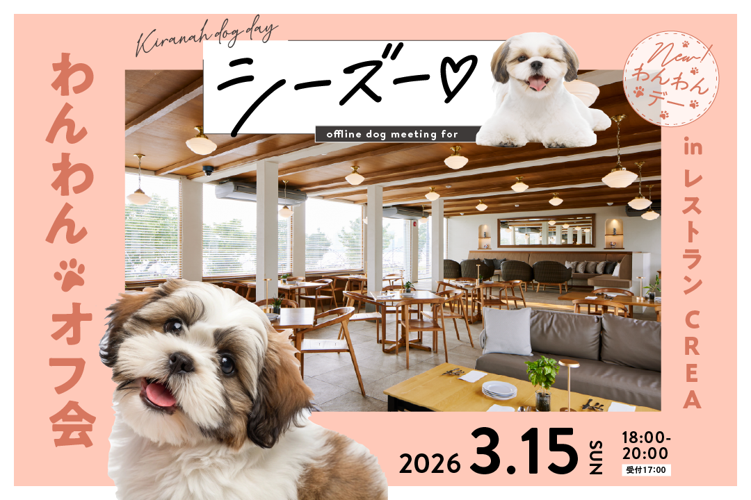 犬種別リアルイベント始動。レストランCREAでシーズー50頭規模の交流会を開催|2026年3月15日(日)【キラナガーデン豊洲】