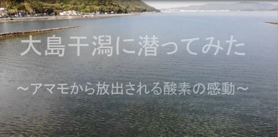 【山口県周南市】周南市の干潟からブルーカーボンを！動画「大島干潟に潜ってみた」を公開しました。