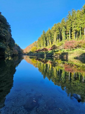 水面に映る嵐山渓谷