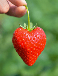 栃木県産とちあいか