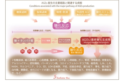 AGEsがたどる道