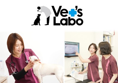 Vet’s Laboは、動物病院の臨床現場で得られる気づきを商品開発につなげる、臨床獣医師開発ブランドです。