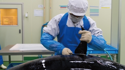 辻水産HACCP認定加工場
