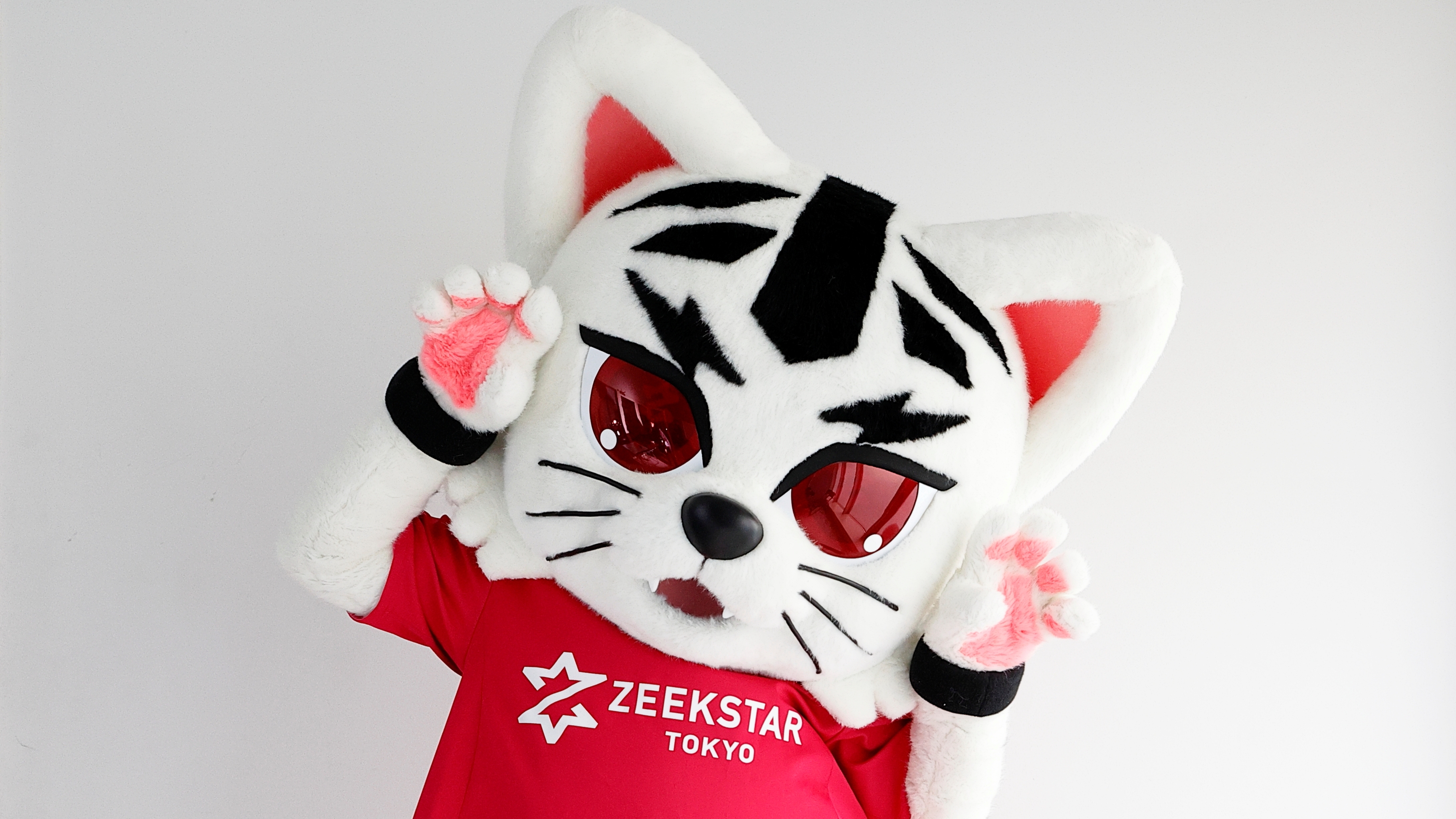 競馬 カード アルバム 大量 まとめて 中央 地方 名馬 伝説 競馬 カード アルバム 大量 まとめて 中央 地方 名馬 伝説