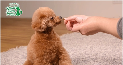 愛犬の「Yum!(おいしい！)」を集めた動画を公開！ インスタから選ばれた愛くるしい食いしん坊たち