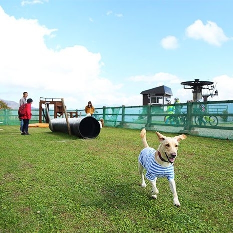 HAKUBAWAN!TAIN HARBOR