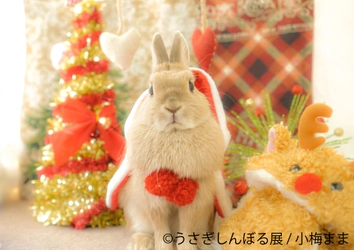 うさぎのモフモフで冬をのり切る！癒しのXmas開催が決定　 過去最大作品数「うさぎしんぼる展」東京・新橋(12/15～25)