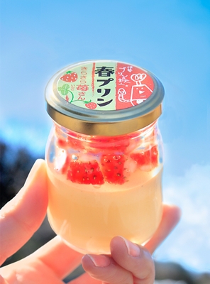 キラキラ輝く春プリン