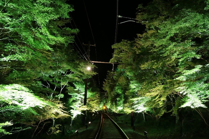 もみじのトンネル車窓