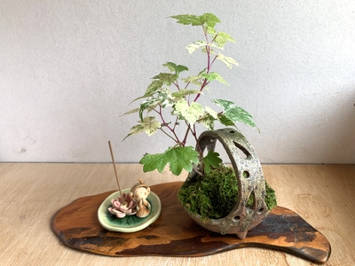 ぽてぼん工房