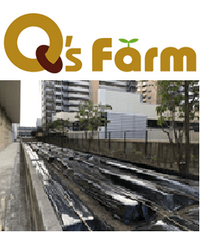 QsFarm