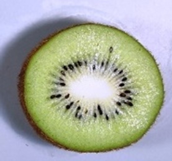 図３　A：全体に受粉すると種子は全体に分布し、果実は均一に肥大した。